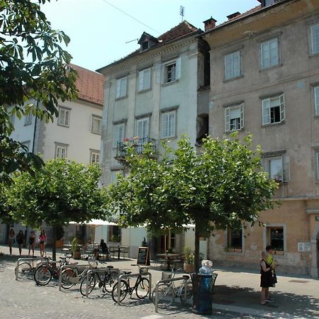 Vitez Apartment II 卢布尔雅那 外观 照片