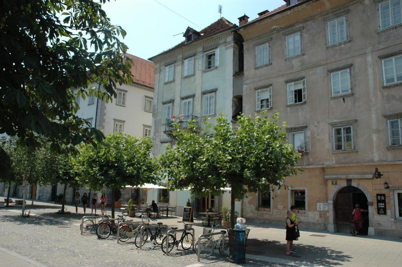 Vitez Apartment II 卢布尔雅那 外观 照片